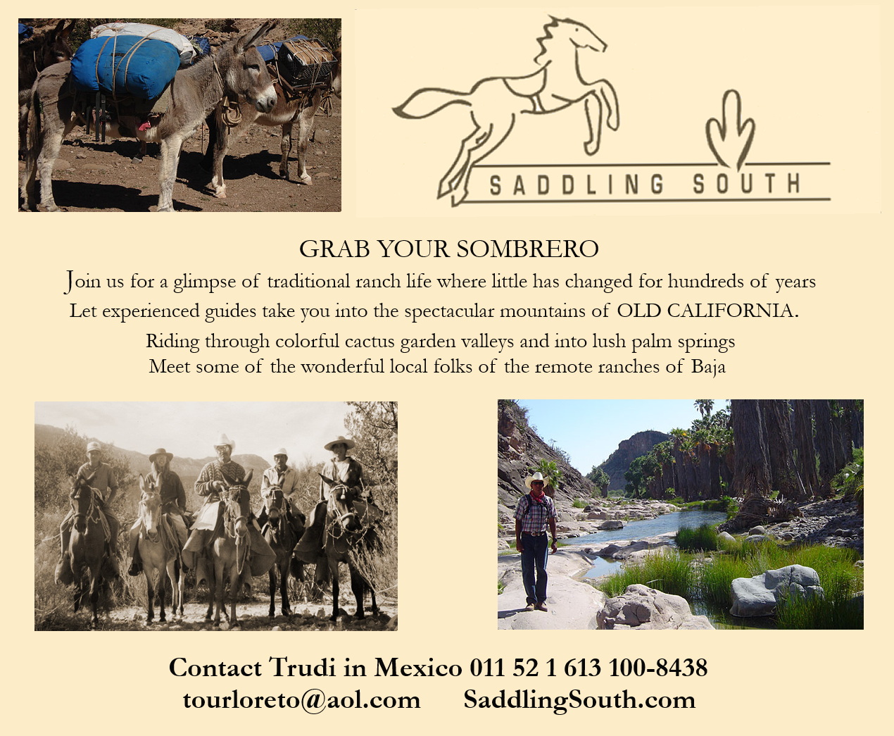 Saddling South: mule and horse trips with Trudi Angell